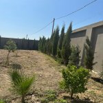 Kirayə (aylıq) 5 otaqlı Bağ evi, Nardaran qəs., Sabunçu rayonu 5