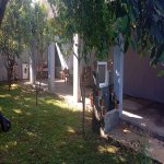 Kirayə (günlük) 3 otaqlı Bağ evi Qəbələ 6