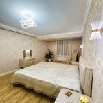 Kirayə (aylıq) 2 otaqlı Yeni Tikili, Nəriman Nərimanov metrosu, Nərimanov rayonu 9