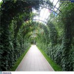 Satılır 4 otaqlı Bağ evi, Novxanı, Abşeron rayonu 9