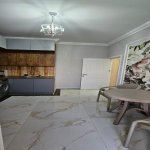 Kirayə (aylıq) 2 otaqlı Yeni Tikili, 8 Noyabr metrosu, Nəsimi rayonu 7