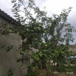 Satılır 3 otaqlı Həyət evi/villa, Binə qəs., Xəzər rayonu 19