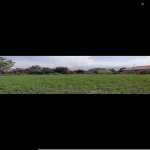 Satılır Torpaq Şəki 1