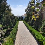Kirayə (aylıq) 7 otaqlı Bağ evi, Bilgəh qəs., Sabunçu rayonu 13