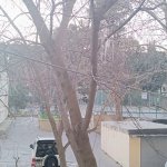 Satılır 3 otaqlı Köhnə Tikili, İnşaatçılar metrosu, Yasamal qəs., Yasamal rayonu 17