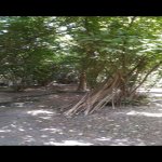 Продажа Участок Гябяля 4