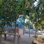 Kirayə (günlük) 4 otaqlı Həyət evi/villa İsmayıllı 20