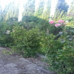 Satılır 4 otaqlı Həyət evi/villa, Ramana qəs., Sabunçu rayonu 10