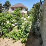 Satılır 5 otaqlı Bağ evi, Koroğlu metrosu, Bilgəh qəs., Sabunçu rayonu 24