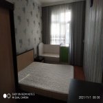 Kirayə (aylıq) 3 otaqlı Köhnə Tikili, Nəsimi metrosu, Binəqədi rayonu 9