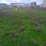 Продажа Участок, пос. Маштага, Сабунчу район 3
