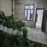 Kirayə (günlük) 3 otaqlı Bağ evi Qusar 1