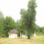 Продажа Объект Огуз 15