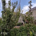 Satılır 4 otaqlı Həyət evi/villa, Binə qəs., Xəzər rayonu 25