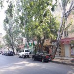 Kirayə (aylıq) 3 otaqlı Köhnə Tikili, Elmlər akademiyası metrosu, Yasamal rayonu 1