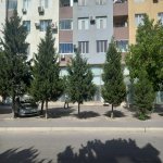 Kirayə (aylıq) Obyekt, Neftçilər metrosu, 8-ci kilometr, Nizami rayonu 10