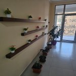 Продажа 3 комнат Новостройка, м. Эльмляр Академиясы метро, Ясамал район 29