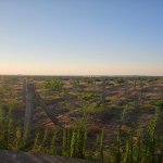Satılır Torpaq, Novxanı, Abşeron rayonu 2