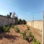 Satılır 4 otaqlı Bağ evi, Novxanı, Abşeron rayonu 8