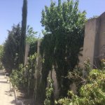 Kirayə (aylıq) 5 otaqlı Bağ evi, Novxanı, Abşeron rayonu 3