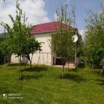 Kirayə (günlük) 4 otaqlı Həyət evi/villa Qəbələ 2