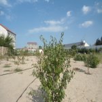Satılır 5 otaqlı Bağ evi, Sabunçu rayonu 32