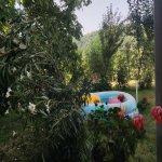 Kirayə (günlük) 4 otaqlı Həyət evi/villa Qəbələ 16