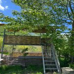 Kirayə (günlük) 3 otaqlı Bağ evi İsmayıllı 17