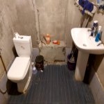 Kirayə (aylıq) 3 otaqlı Həyət evi/villa, Mərdəkan, Xəzər rayonu 11