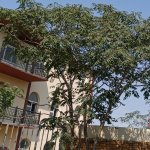 Продажа Объект, м. Ази Асланова метро, Хетаи район 3