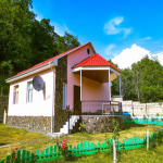 Satılır 3 otaqlı Həyət evi/villa Qax 2