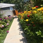 Kirayə (günlük) 3 otaqlı Bağ evi Qəbələ 1