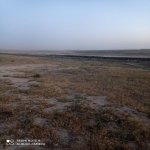 Satılır Torpaq, Goradil, Abşeron rayonu 4
