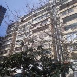 Satılır 4 otaqlı Yeni Tikili, Azadlıq metrosu, 8-ci mikrorayon, Binəqədi rayonu 2