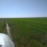 Продажа Участок, пос. Зыг, Сураханы район 4