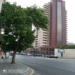 Kirayə (aylıq) 1 otaqlı Köhnə Tikili, 28 May metrosu, Nəsimi rayonu 7