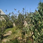 Satılır 3 otaqlı Bağ evi, Maştağa qəs., Sabunçu rayonu 2