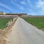 Satılır Torpaq, Novxanı, Abşeron rayonu 3