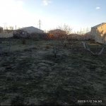 Satılır Torpaq, Hacı Zeynalabdin rayonu 2