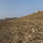 Продажа Участок, Новханы, Абшерон район 1