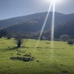 Продажа Участок Огуз 3