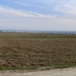 Satılır Torpaq, Türkan, Xəzər rayonu 2