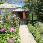 Kirayə (günlük) 3 otaqlı Həyət evi/villa Qəbələ 8
