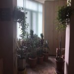 Satılır 8 otaqlı Həyət evi/villa, Nəsimi metrosu, 6-cı mikrorayon, Binəqədi rayonu 30