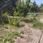 Satılır 6 otaqlı Bağ evi, Novxanı, Abşeron rayonu 44
