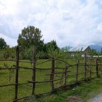 Satılır Torpaq Qəbələ 4