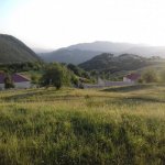 Satılır Torpaq Şamaxı 11