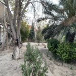 Продажа Участок, м. Короглу метро, пос. Пиршаги, Сабунчу район 2