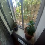 Продажа 3 комнатная Дома/Виллы, м. Короглу метро, пос. Маштага, Сабунчу район 13