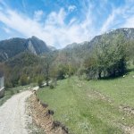 Satılır Torpaq Şamaxı 7